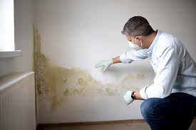 Mold Removal for HVAC Installations in Kingsbury, NV